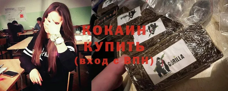 OMG онион  Родники  Cocaine Эквадор  закладки 